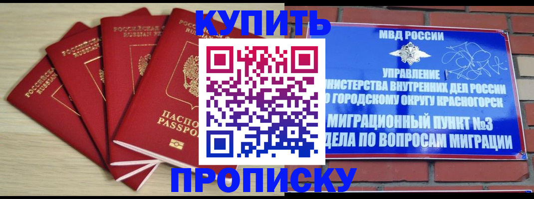 пропишу в квартире в Стародубе